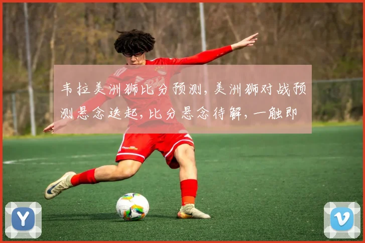 韦拉美洲狮比分预测,美洲狮对战预测悬念迭起,比分悬念待解,一触即发