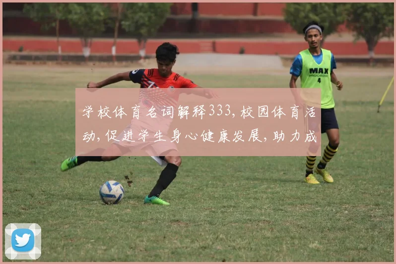 学校体育名词解释333,校园体育活动,促进学生身心健康发展,助力成长之路