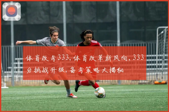 体育改考333,体育改革新风向,333分挑战升级,备考策略大揭秘