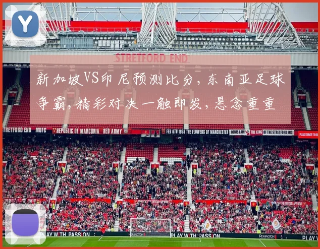 新加坡VS印尼预测比分,东南亚足球争霸,精彩对决一触即发,悬念重重